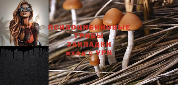 Альфа ПВП Осинники