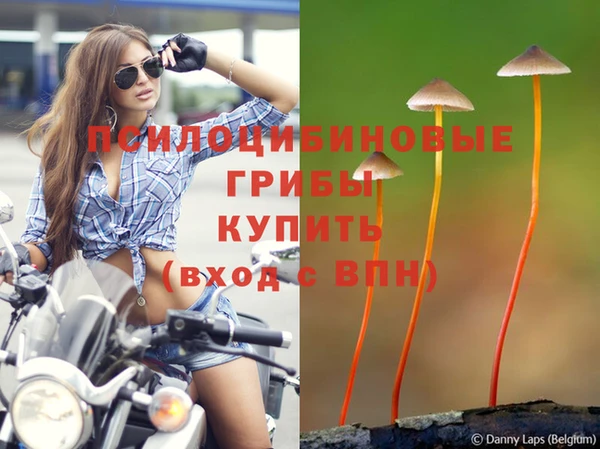 jwh Абинск