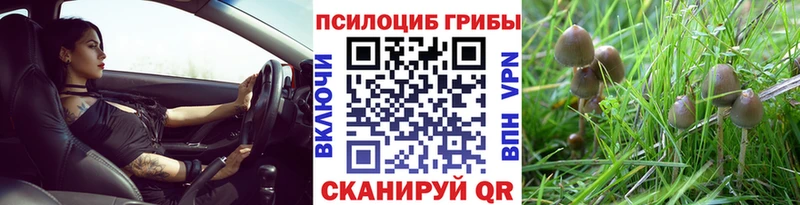 магазин  наркотиков  Кораблино  мориарти формула  Псилоцибиновые грибы Psilocybine cubensis 
